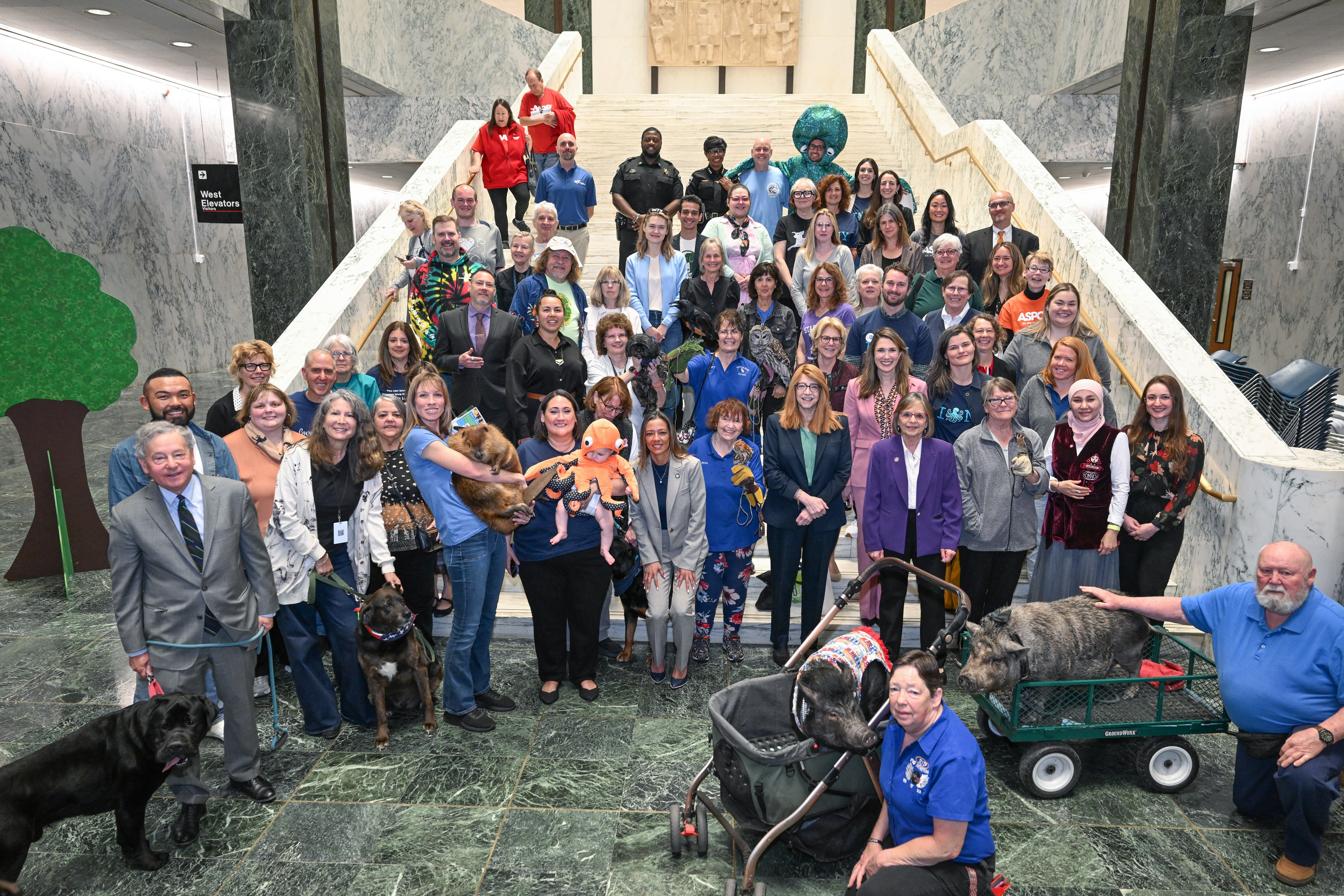 Participants of Animal Advocacy Day pose for a photo on a staircase.