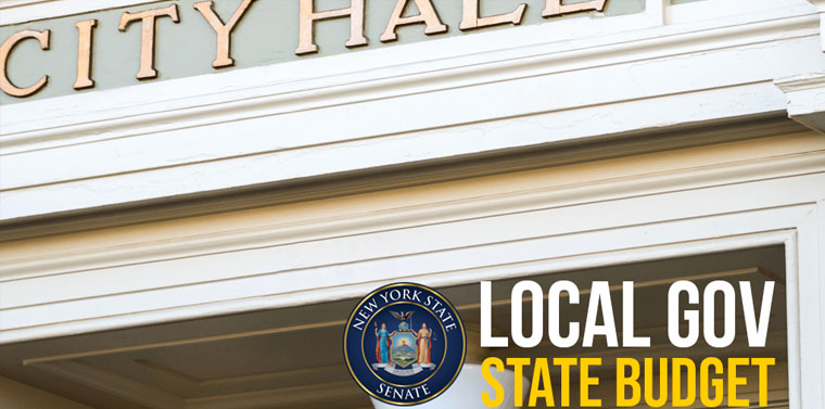 local_gov_2022.jpg