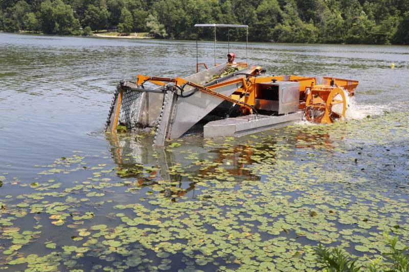 murphys_80k_grant_harvests_brighter_future_for_mohegan_lake2.jpg
