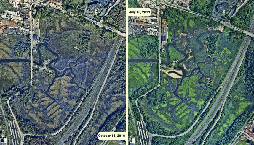 press_release-saw_mill_creek_mitigation-image_0.jpg