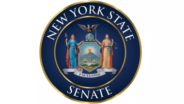 NY Senate Logo
