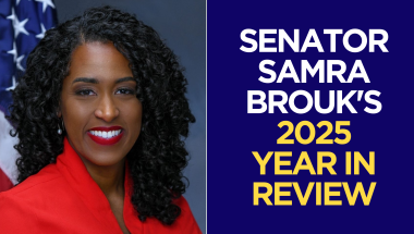 Senator Brouk 2025 Year in Review