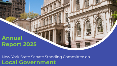 Banner Image of portions of the 2025 Local Government Committee Report cover page