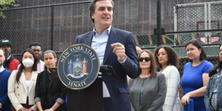 Michael Gianaris - About image