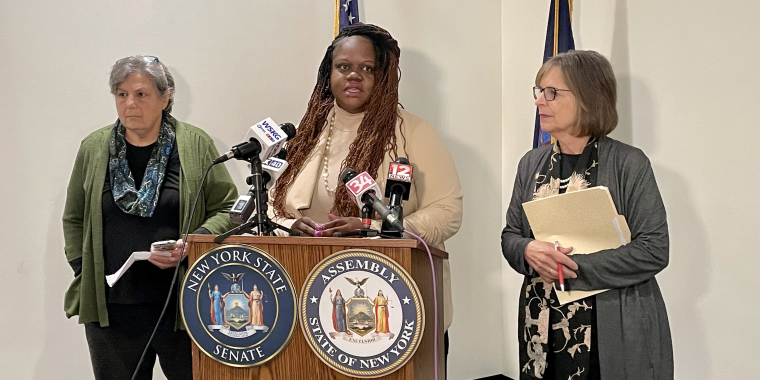 Senator Webb with Assemblywoman Lupardo Holding a Press Conference about NYSEG