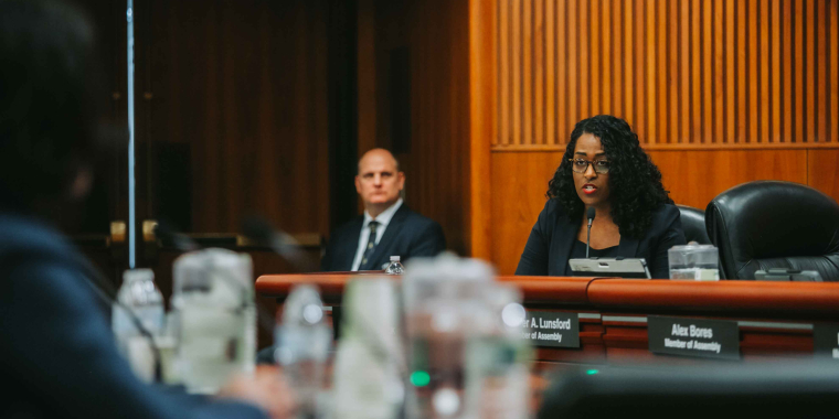 Brouk at committee hearing