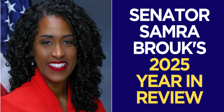 Senator Brouk 2025 Year in Review