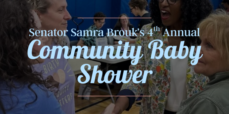 Senator Brouk Community baby shower 5/4/25