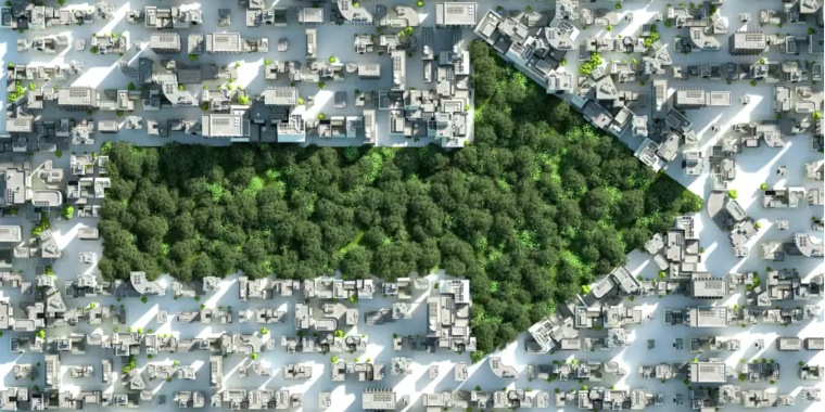 Green arrow of trees