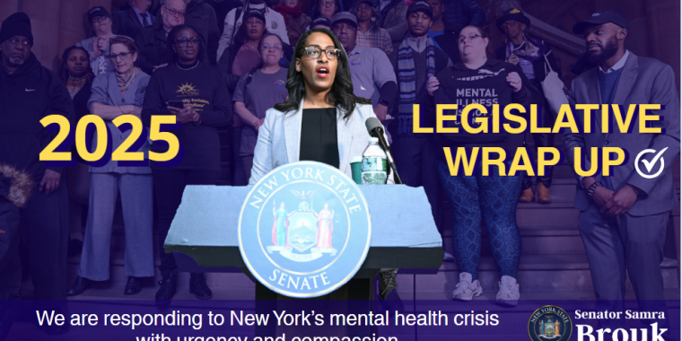 Senator Brouk Session Wrap Up Video