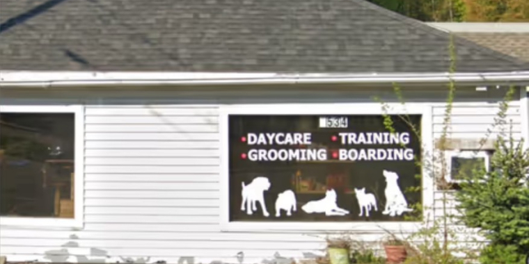 Suspected Animal abuse business