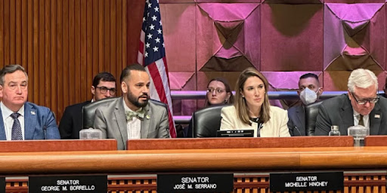 Senator Serrano joined members of the Senate and Assembly to hear testimony from park organizations 