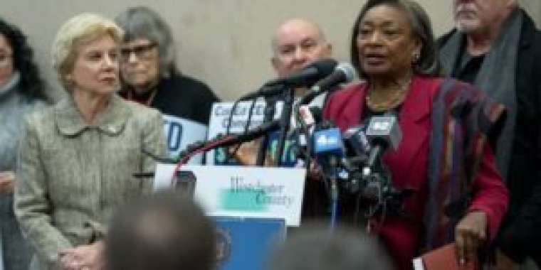 State Senator Shelley Mayer