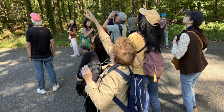 Participants saw many different types of birds.