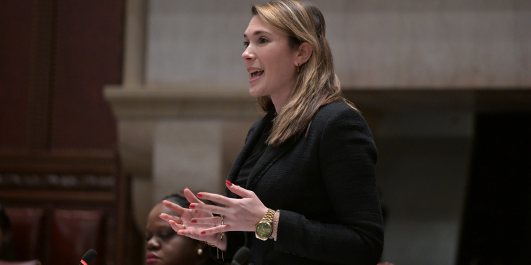 Senator Michelle Hinchey 