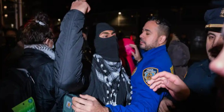 Image of protestor pushing against police officer