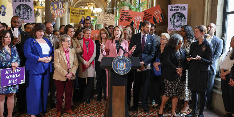 Senator Michelle Hinchey 