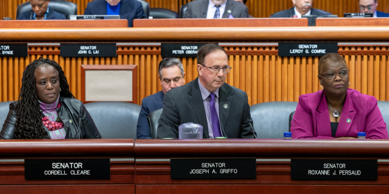 Sen. Griffo at transportation budget hearing