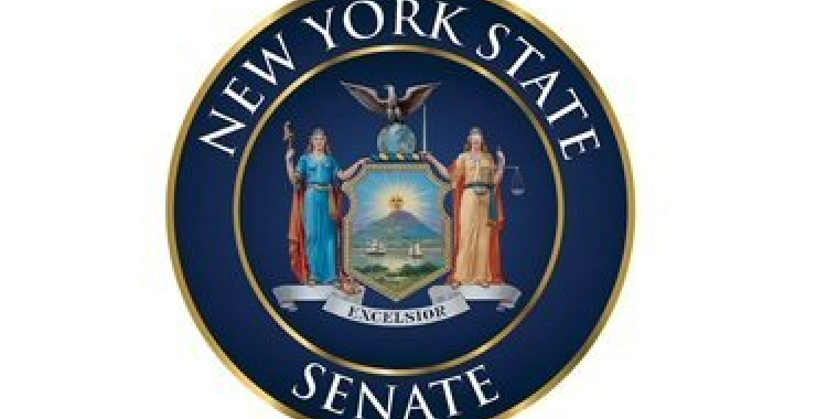 Senate logo 