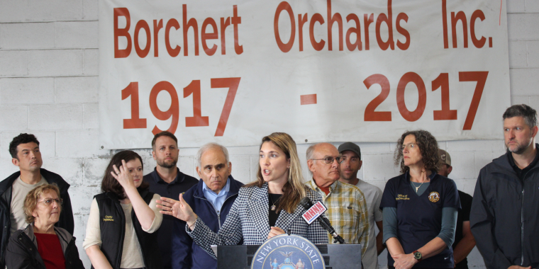 Senator Michelle Hinchey 