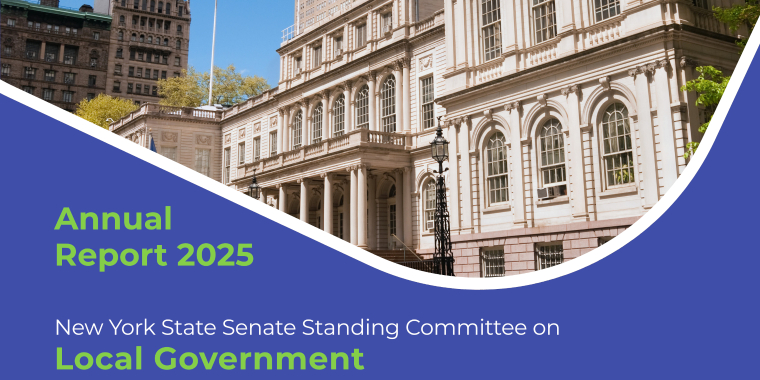 Banner Image of portions of the 2025 Local Government Committee Report cover page