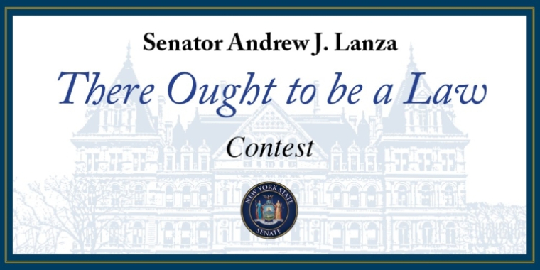 New York State Senate