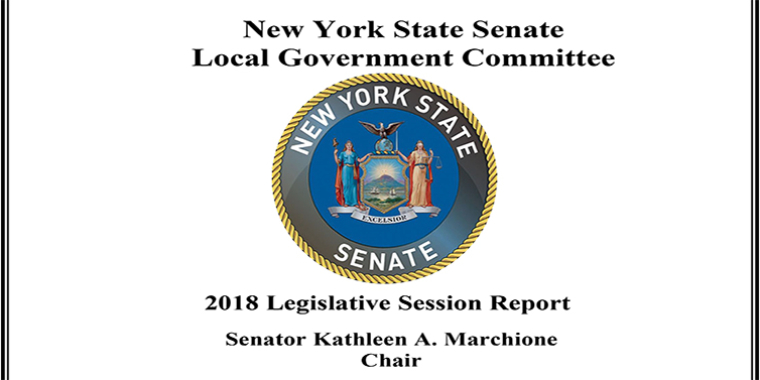 2018 Report of the NYS Senate Standing Committee on Local Government