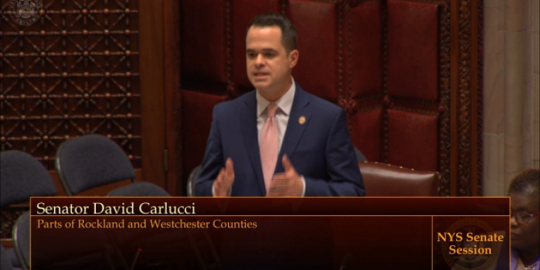 Carlucci on DV Reporting